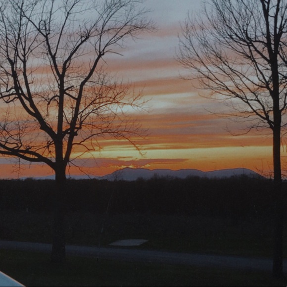 Meet your Posher, BÃ©a - Picture 1 of 1